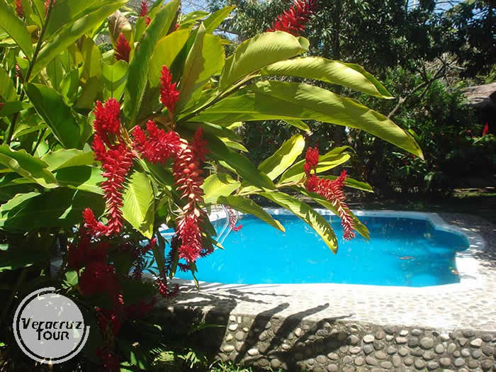 Hostal En EL Ro Pescados Jalcomulco Veracruz