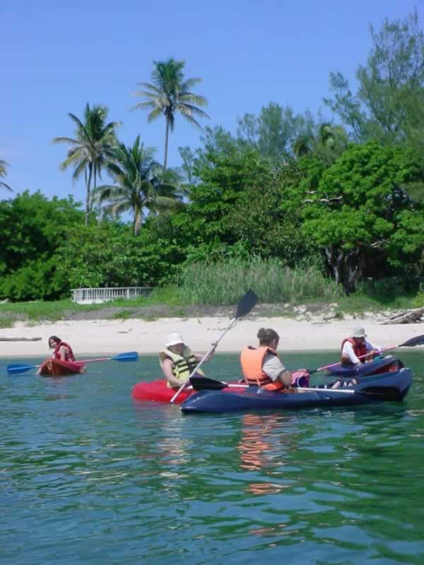 - Kayak De Mar En Veracruz