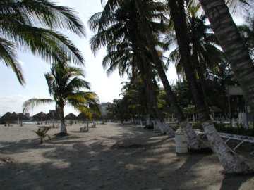 Playas En Veracruz