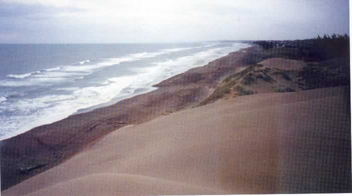 Playas De Chachalacas
