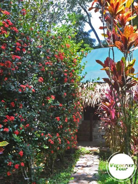 Hospedaje En Campamento Río Filobobos Veracruz